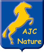 logo ajc-ld-1