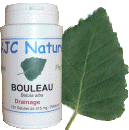 BOULEAU