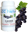 CASSIS BIO