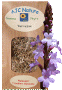 VERVEINE