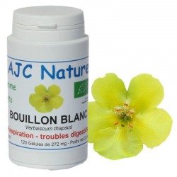 GELULES BOUILLON BLANC