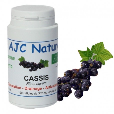 GELULES CASSIS BIO