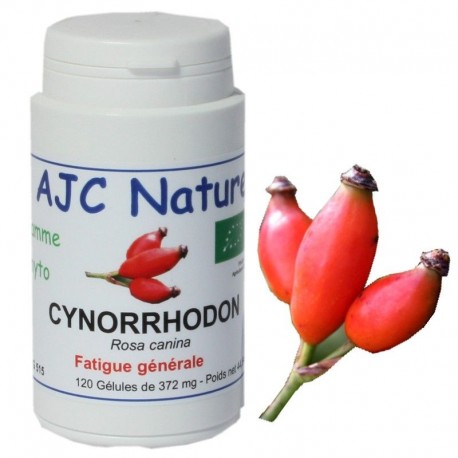 GELULES CYNORRHODON BIO