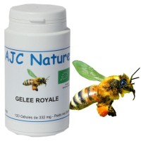 GÉLULES GELÉE ROYALE BIO