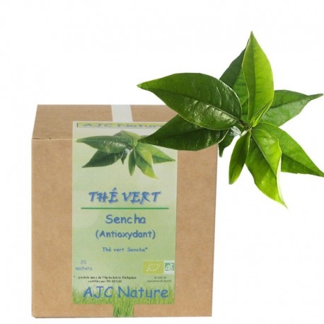 THÉ VERT SENCHA BIO THÉ VERT SENCHA BIO