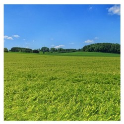 MÉLANGE PRAIRIE | Cheval