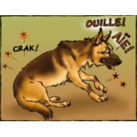 Harpagophytum BIO pour chiens