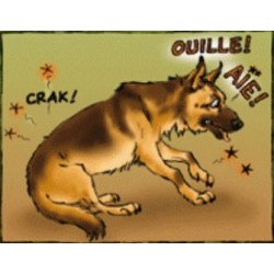 Harpagophytum BIO pour chiens