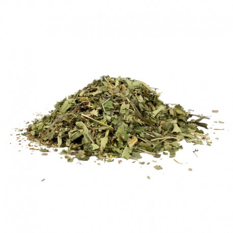 Moringa des Tropiques Bio Moringa des Tropiques Bio