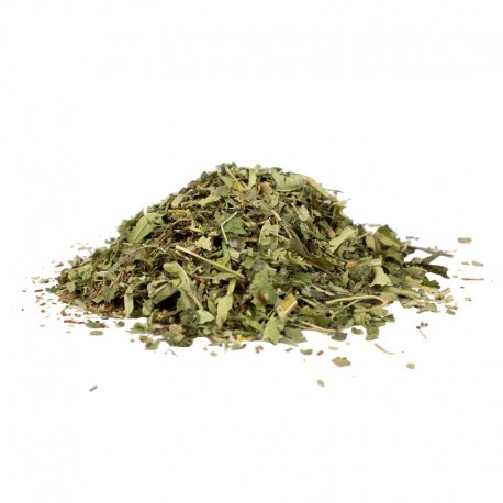 Moringa des Tropiques Bio