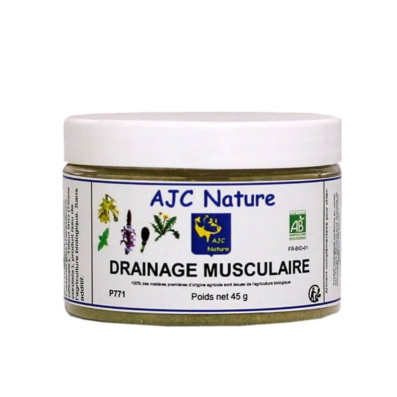 Drainage musculaire pour chien