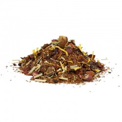 Rooibos Rhubarbe-Mangue bio