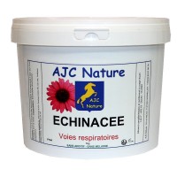 Echinacée immunité respiratoire cheval