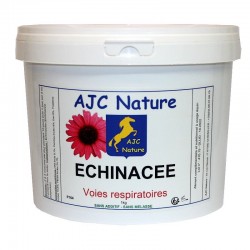 Echinacée immunité respiratoire cheval