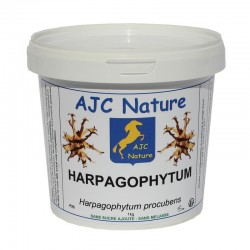 Harpagophytum