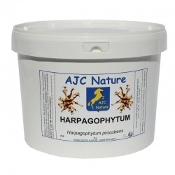 Harpagophytum