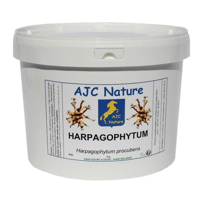 Harpagophytum