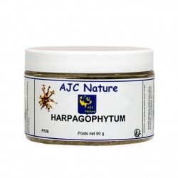 Harpagophytum pour chiens