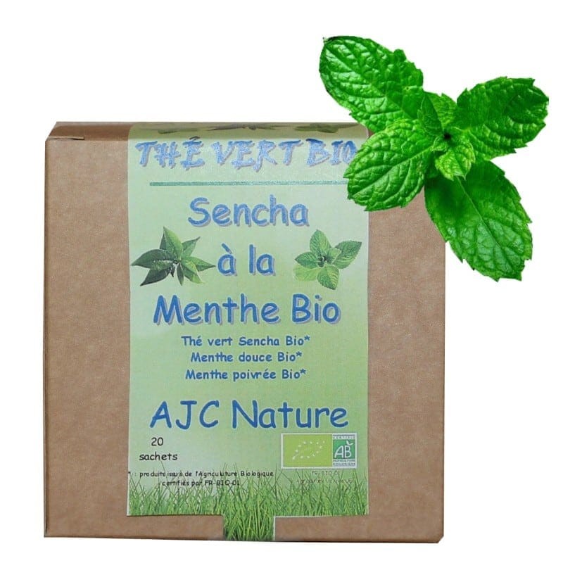 Thé Vert SENCHA Bio en sachets biodégradables