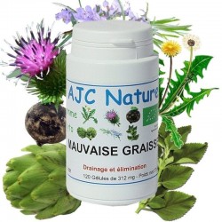 MAUVAISE GRAISSE Bio - Gélules