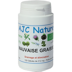 MAUVAISE GRAISSE Bio - Gélules