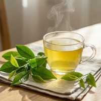 Infusion de Thé Vert Sencha Bio sans théine - Moment détente et bien-être