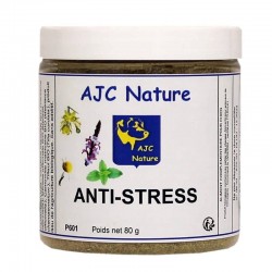 Plantes anti stress pour chien