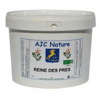 REINE DES PRES | Cheval