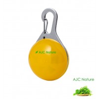 Boule lumineuse