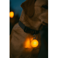 Boule lumineuse