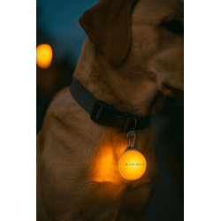 Boule lumineuse