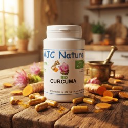 Curcuma Bio 120 gélules
