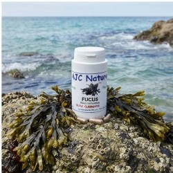 G520 Fucus Bio pilulier décor mer