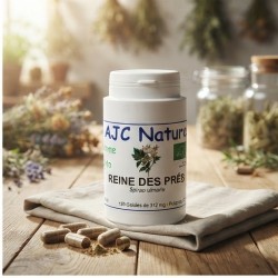 G539 Reine des prés Bio en gélules rituel