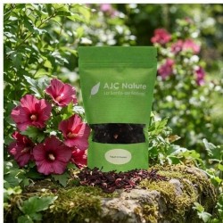 PH320 Sachet Vrac Hibiscus Bio 100g nature