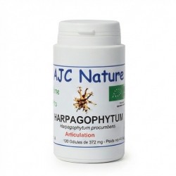 Pilulier blanc Harpagophytum bio