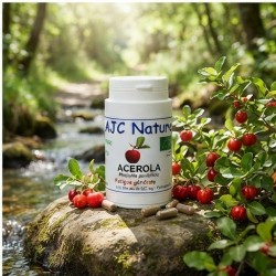 G501 Acérola Bio pilulier nature