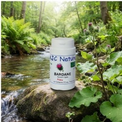 G580 Pilulier Bardane Bio nature