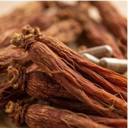 G523 Ginseng rouge bio zoom ingrédient