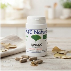 G524 Ginkgo biloba bio 120 gélules