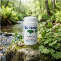 G524 Ginkgo biloba bio pilulier nature