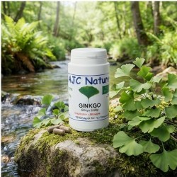 G524 Ginkgo biloba bio pilulier nature