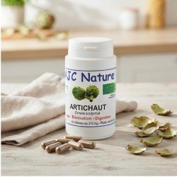 G504 artichaut bio pilulier 120 gélules