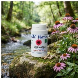 G516 pilulier 120 gélules échinacée bio nature