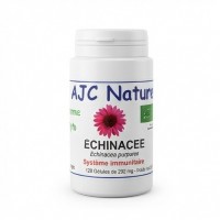 G516 gélules végétales échinacée bio
