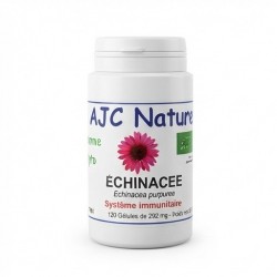 G516 gélules végétales échinacée bio