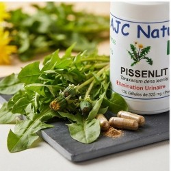 G536 gélules pissenlit bio plante