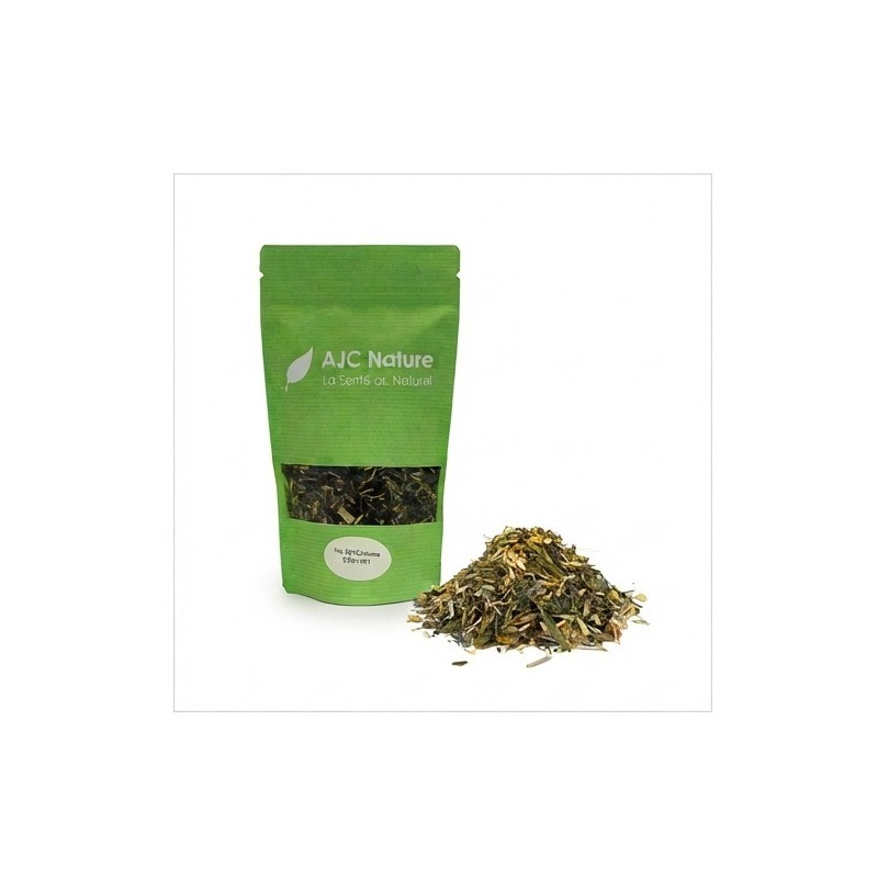 PH392 Thé Vert gingembre, curcuma, citron vert bio sachet vrac 100g