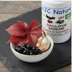 Gélules Circulation Sanguine Bio pilulier de 120 gélules