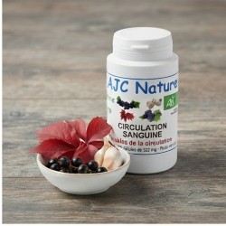 Gélules Circulation Sanguine Bio pilulier de 120 gélules